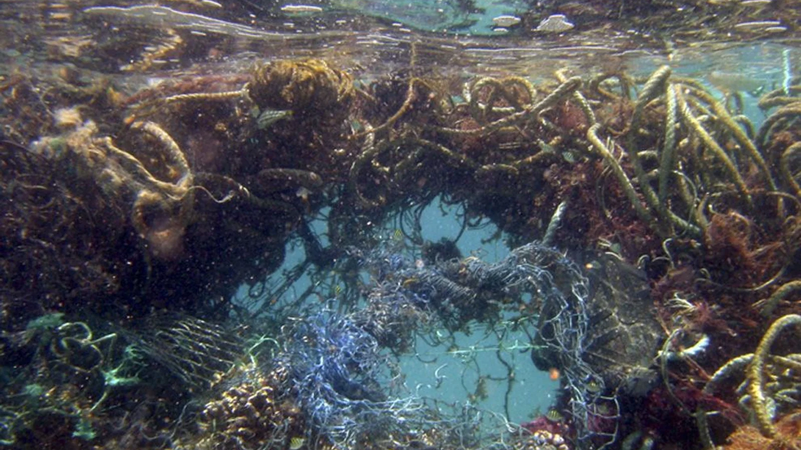 North Pacific Gyre — Sean T Ross, image size:1600x900