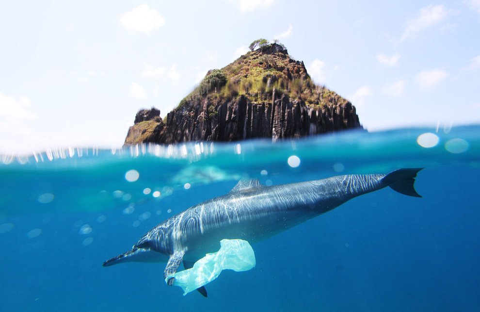 87% of Our Oceans Are Damaged By Human Impact, Report Warns