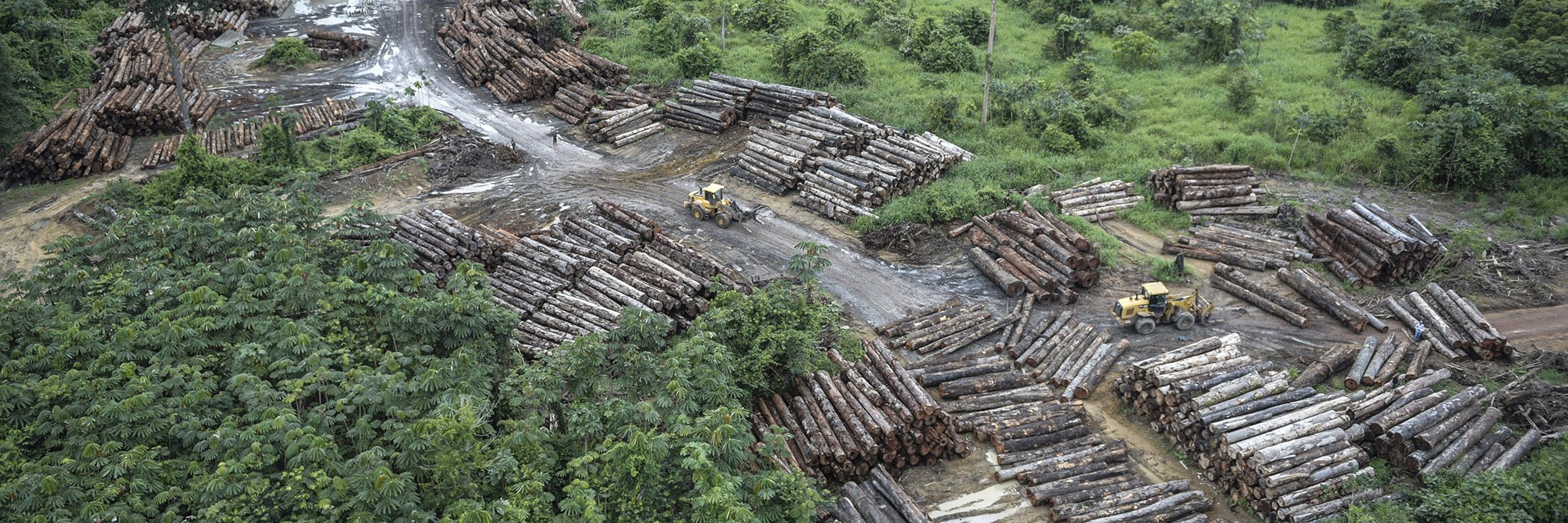 This May 8, 2018 photo released by the Brazilian Environmental and Renewable Natural Resources Institute (Ibama) shows an illegally deforested area on Pirititi indigenous lands as Ibama agents inspect Roraima state in Brazil's Amazon basin.