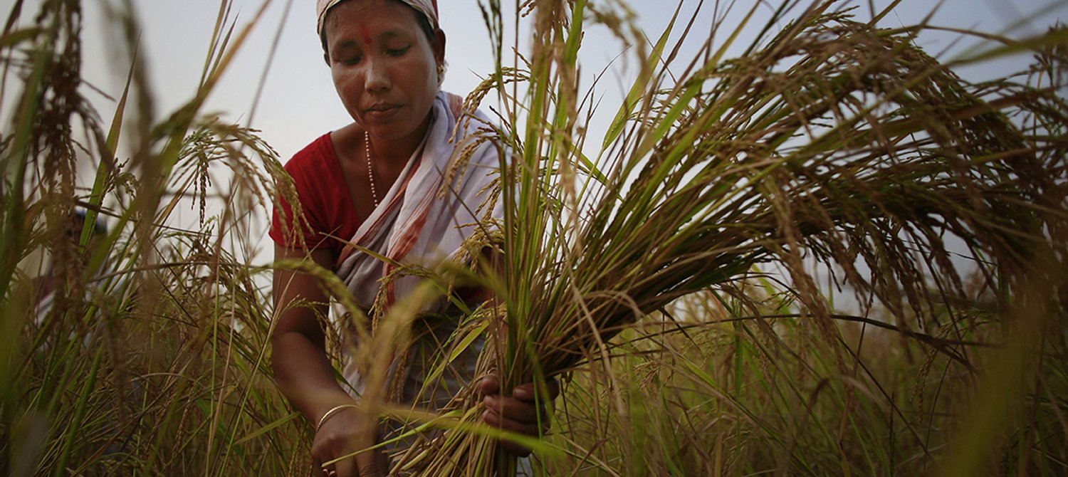 Understanding Why Climate Change Impacts Women More Than Men