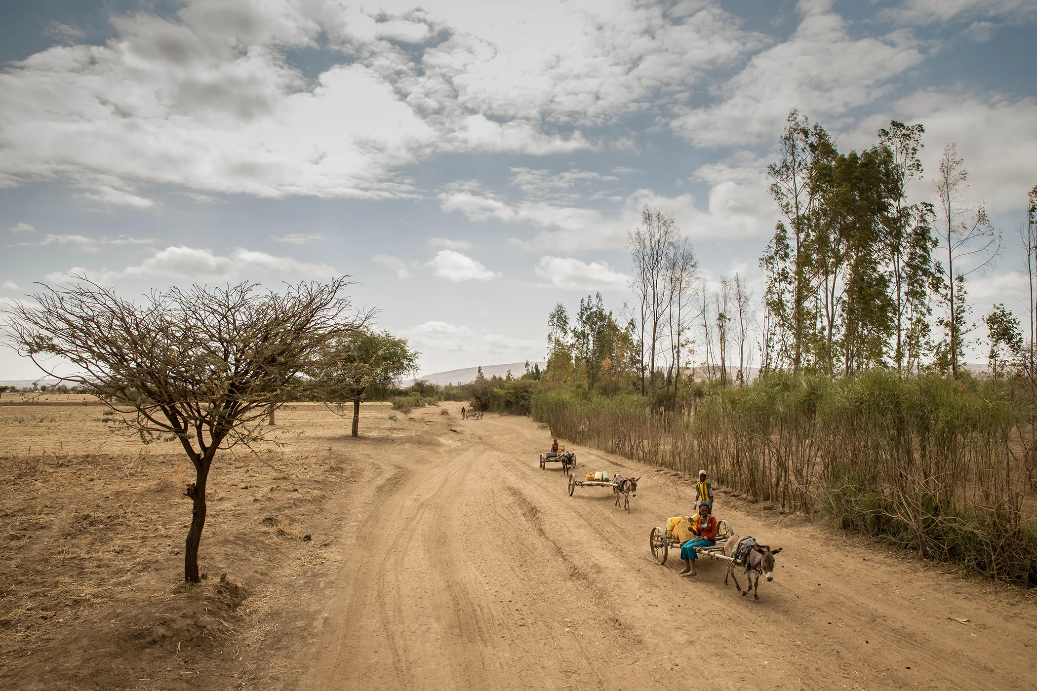Ethiopia has been experiencing historic droughts, which has led to water scarcity and food insecurity for millions.