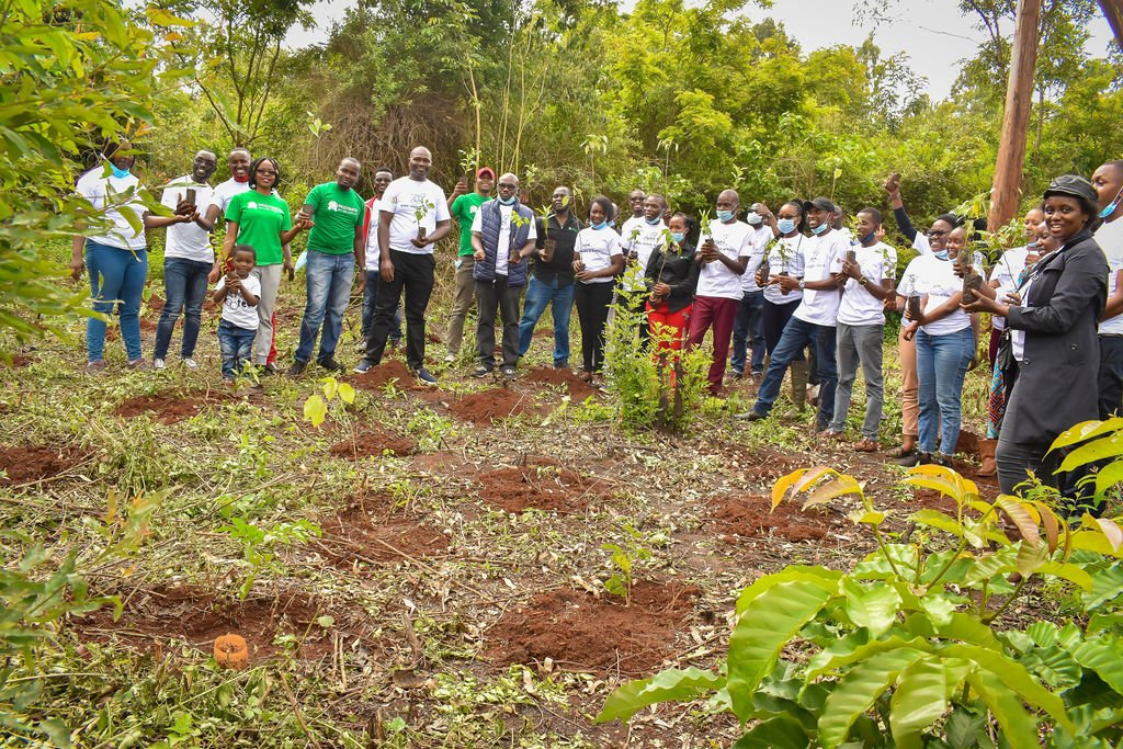 ELF-Africa tree planting project.