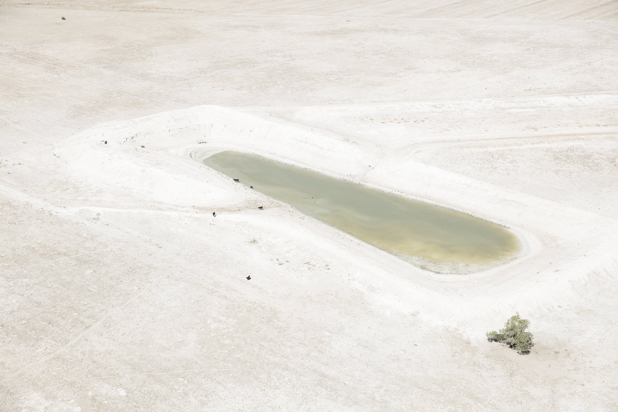 A farm dam just outside of Cape Town sits within a dry landcsape. Farming has been severly affected during the drought.