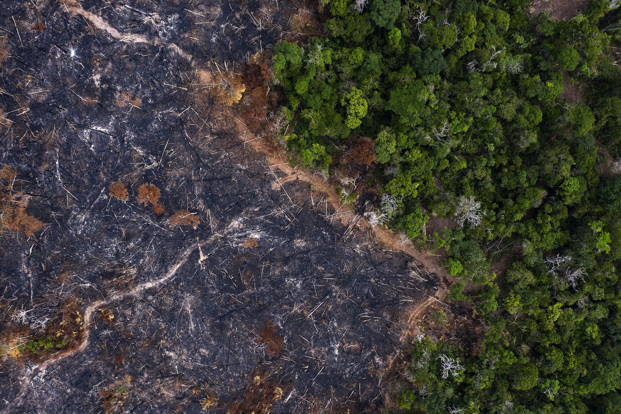 A burned area of the Amazon rainforest is seen in Prainha, Para state, Brazil in November 2019.
