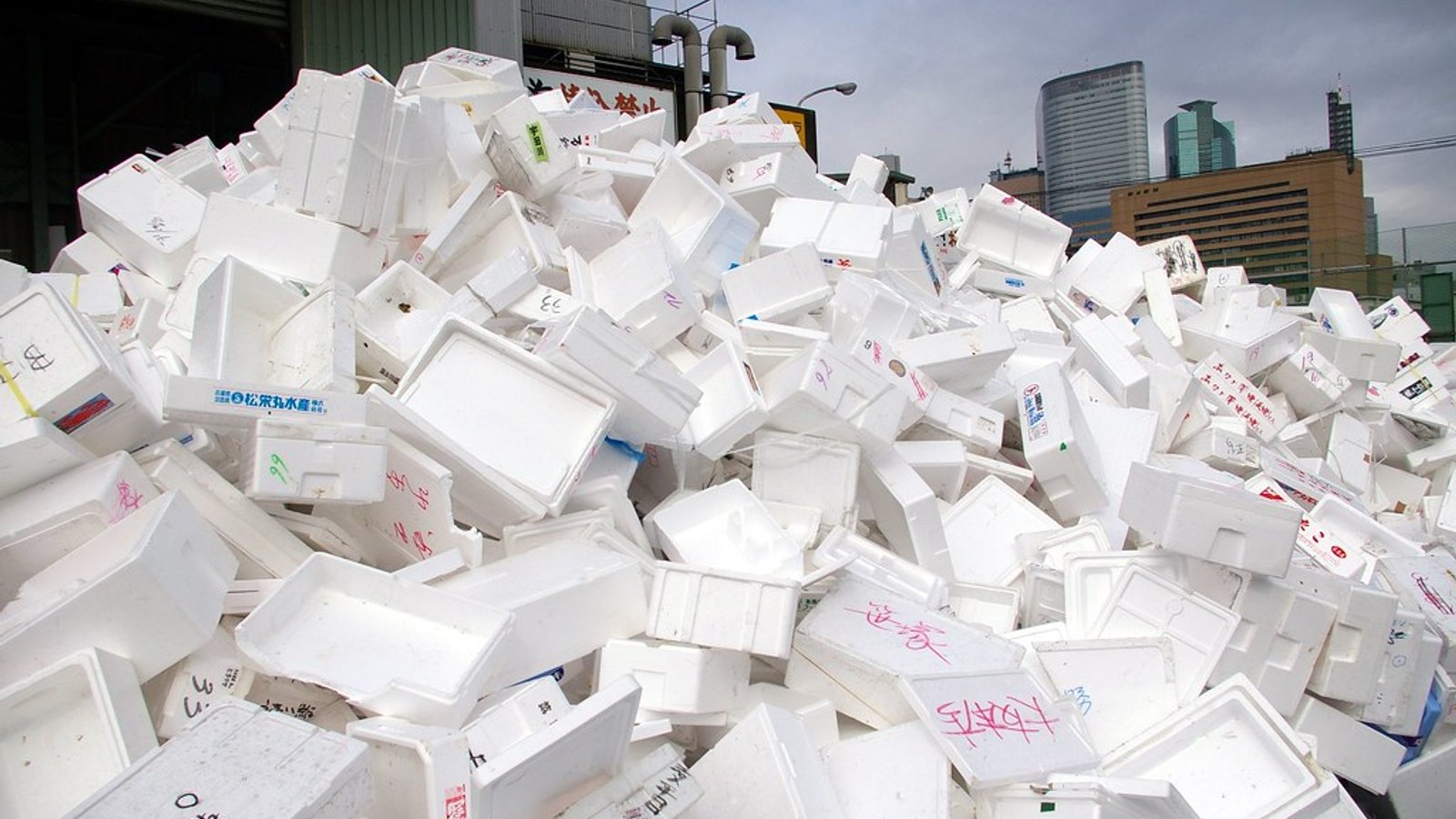 Costa Rica Has Banned Styrofoam, A Major Win For The Environment 