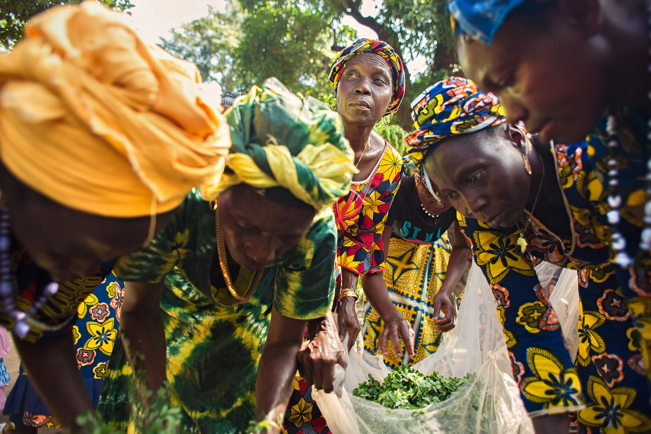 In the Katfoura village in Guinea, the organization Partenariat Recherches Environnement Medias is providing rural women with new opportunities to generate income and improve community life, including in agriculture and sustainability.