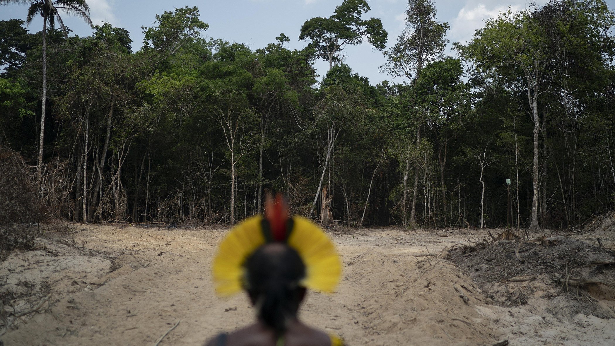 A member of the Kayapo indigenous community, looks out at a path created by loggers on the border between the Biological Reserve Serra do Cachimbo, front, and Menkragnotire indigenous lands, in Altamira, Para state, Brazil in August 2019. Credit: Leo Corr