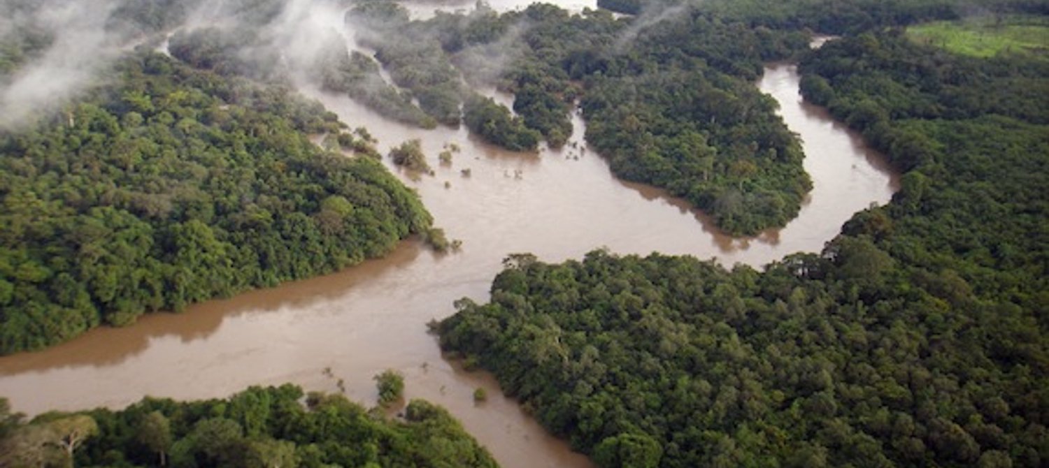 Understanding Pioneering REDD+ Forest Conservation Projects
