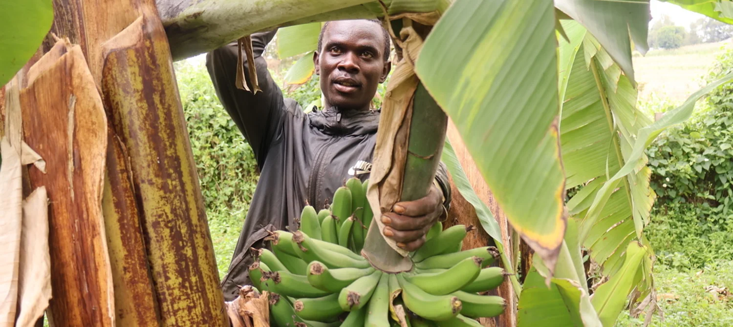 Mit dem Handy die Märkte checken – dieses Start-up digitalisiert die Landwirtschaft in Kenia