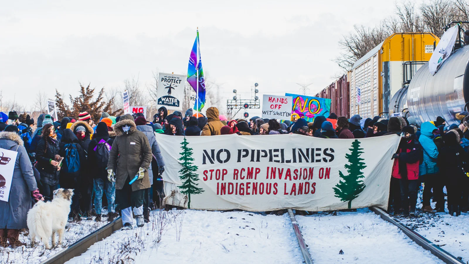 Indigenous People in Canada Are Protesting a Gas Pipeline by Blocking ...