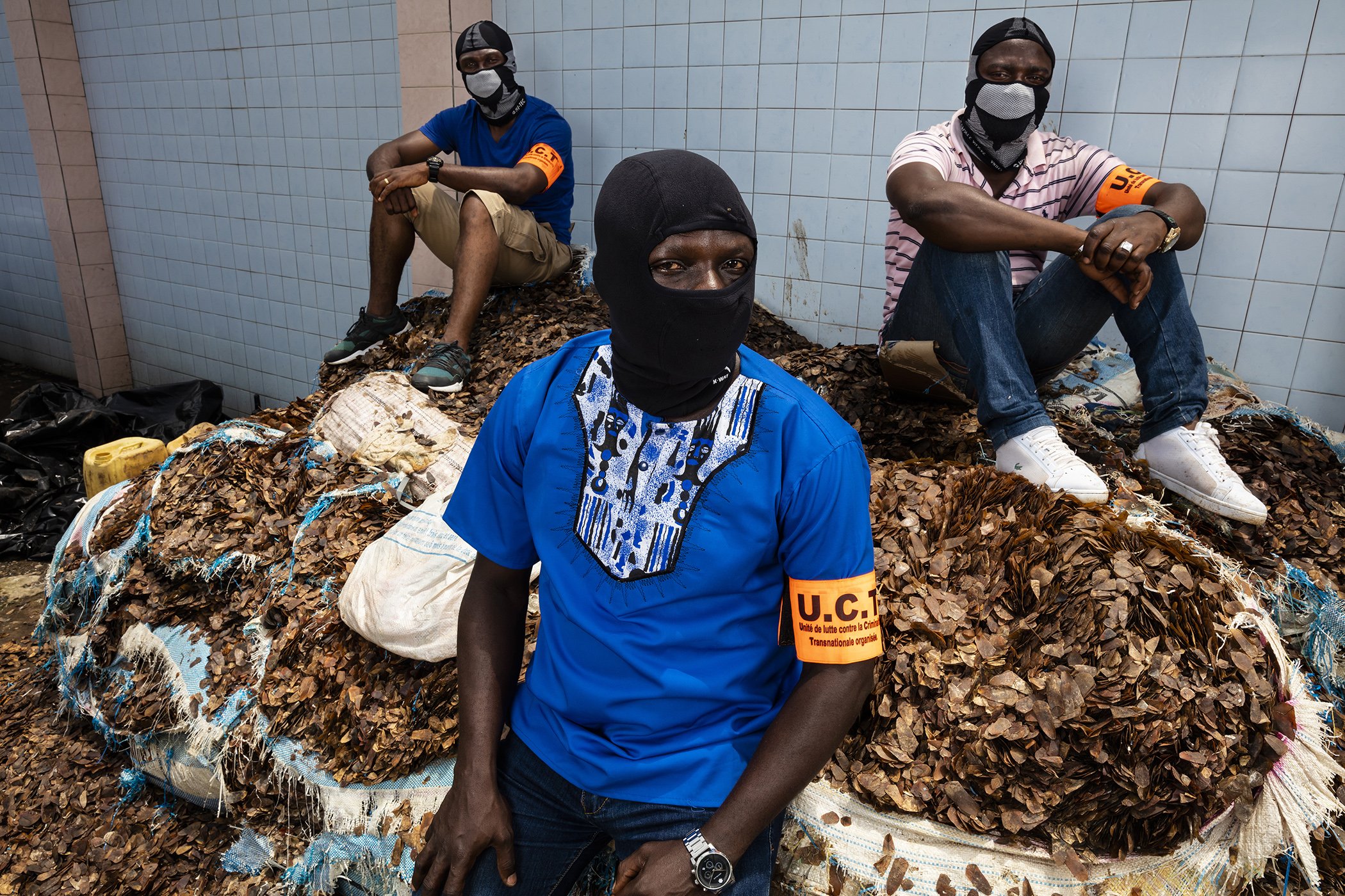 Pangolins in Crisis: A 2017 report states that pangolins are currently the most illegally traded animals in the world, with at least one million estimated to have been poached in the last ten years. Nominated in the nature stories category.