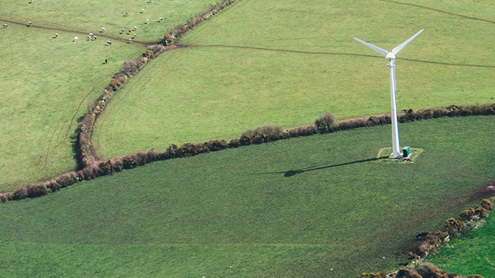 Renewable Energy Just Overtook Fossil Fuels in the UK for the First Time