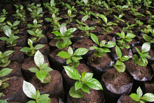 3 Tips to Help Reduce Food Waste