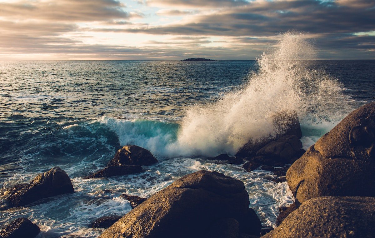 7 Eye-Opening Ways Climate Change Is Harming Sea Life