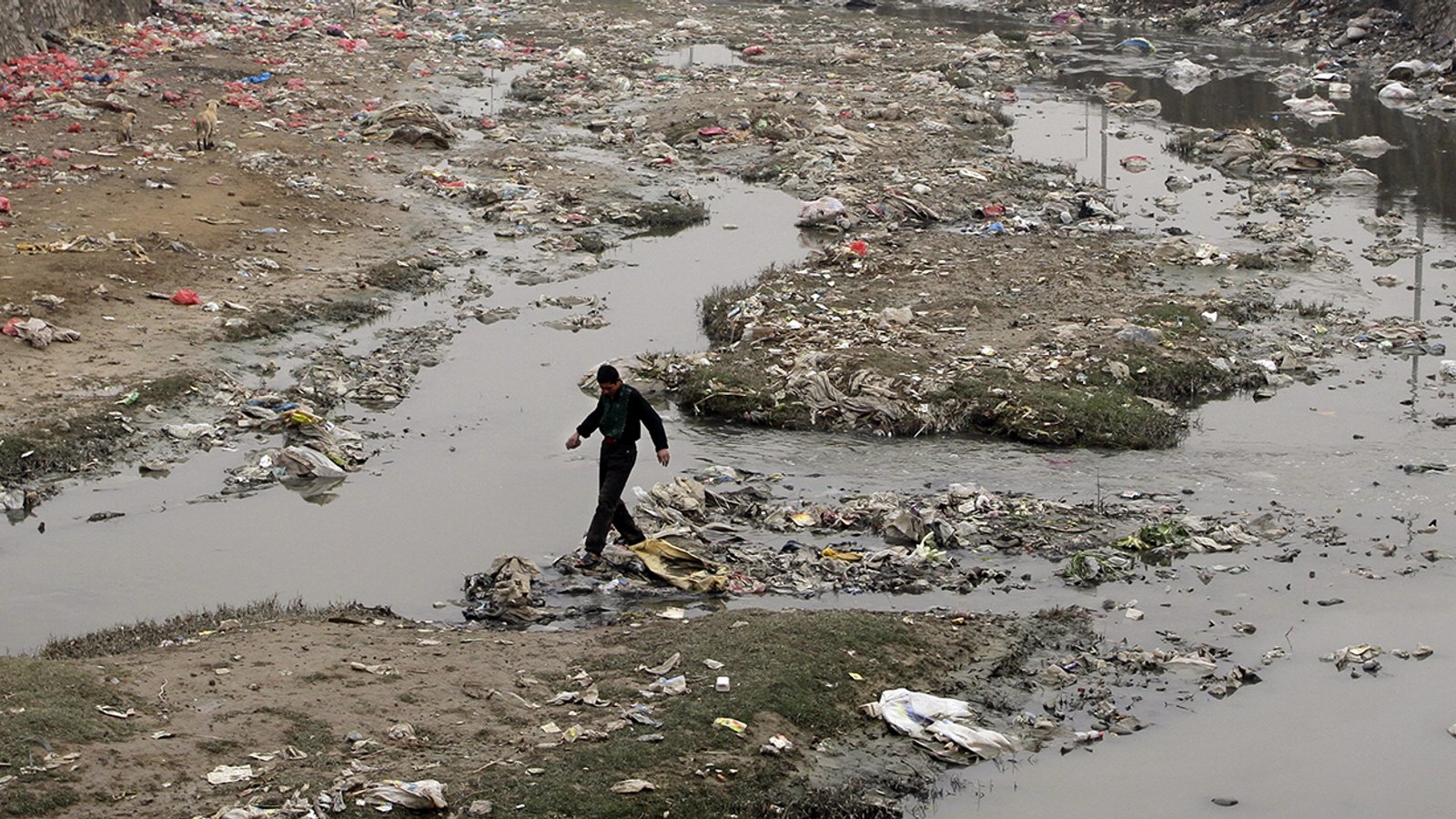 Scientists Want to Make Harming the Environment a War Crime