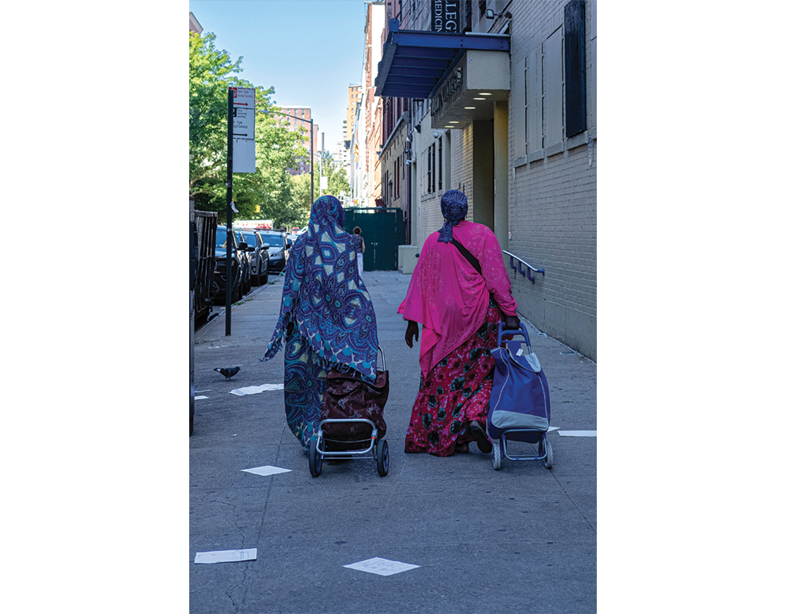 Harlem's Diversity - Women of Resilience and Power