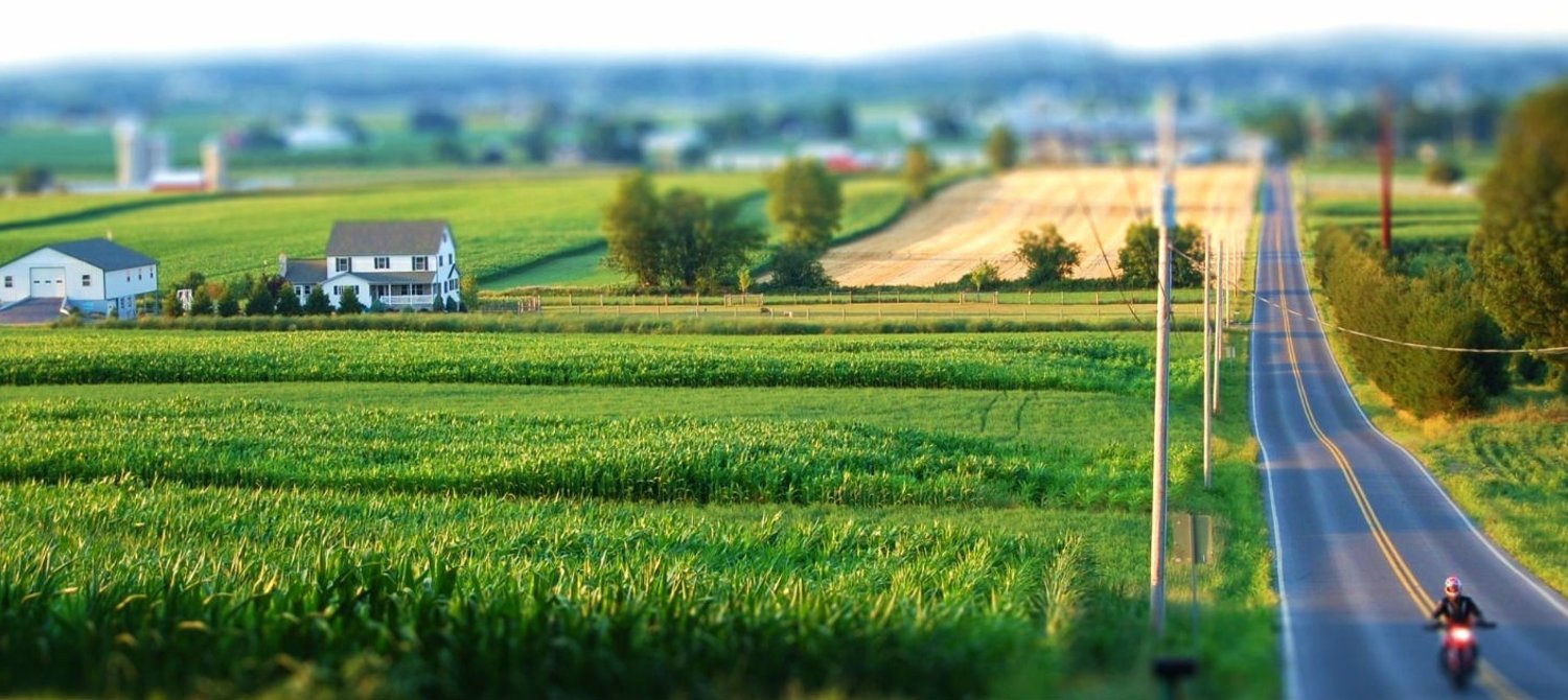 Beyond Local Farms: How To Support Sustainable Agriculture