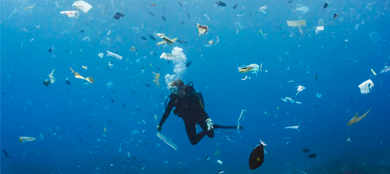 10 Simple Ways to Cut Back on Single-Use Plastic in Your Life