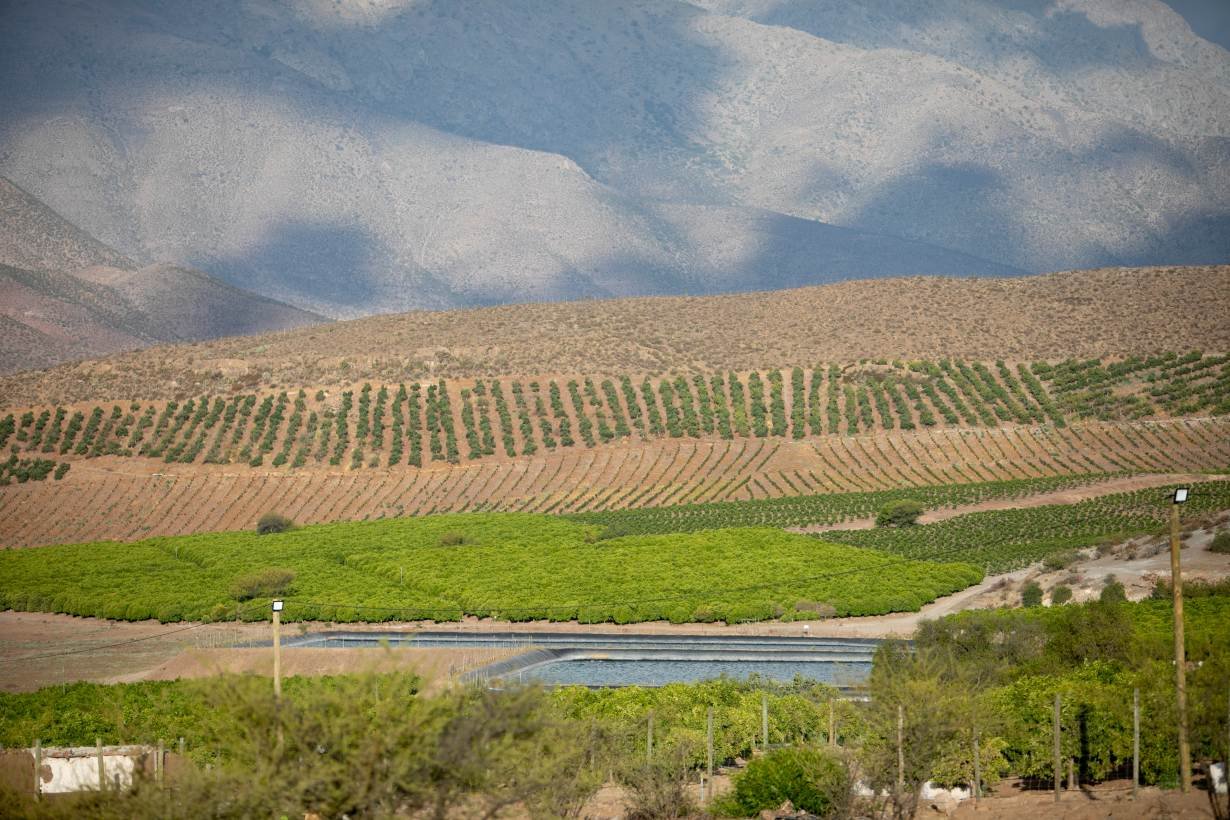 Avocado plantations spread in the distance behind reservoirs in Petorca region, Chile, December 9, 2018.