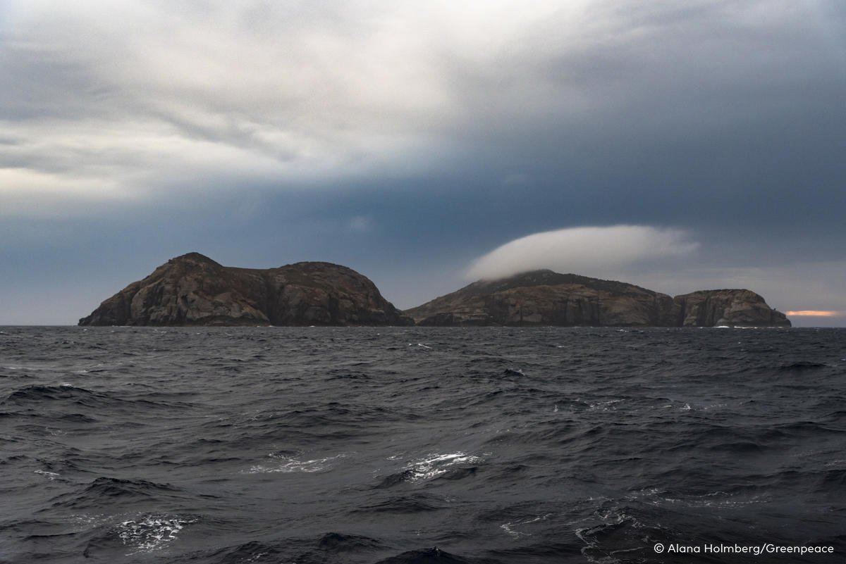 Greenly Island, seen from the Rainbow Warrior III during its Make Oil History tour in South Australia.
