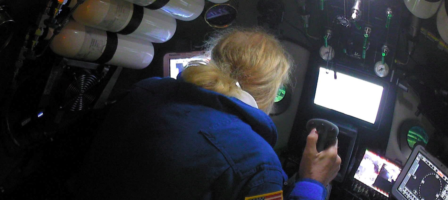 Adventurer Finds Plastic Bags After Diving to Deepest Part of the Ocean