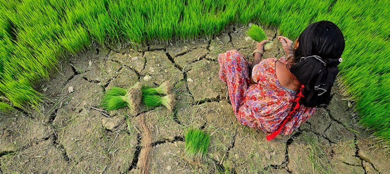 Watch List: 11 Must-Watch Environmental Documentaries