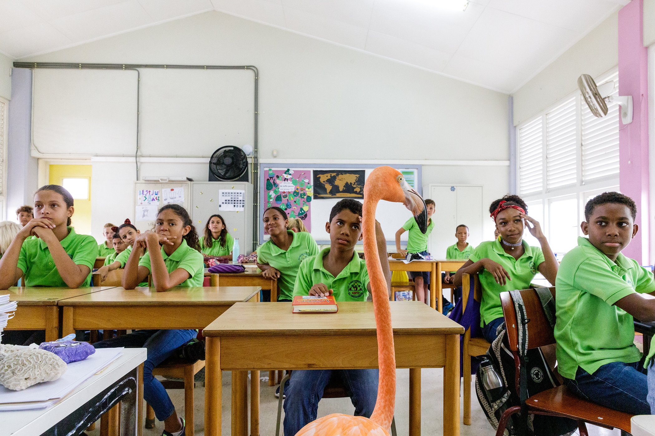 Meet Bob: Bob, a rescued Caribbean flamingo, lives among humans on the Dutch island of Curaçao. Bob accompanies Odette on a visit to a school to educate children about flamingos and their habitat. Nominated in the Nature Stories category.