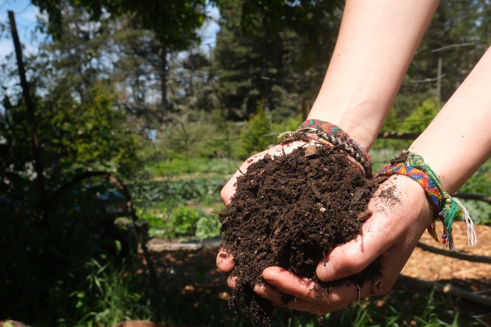Comment se mettre au compost pour protéger la planète