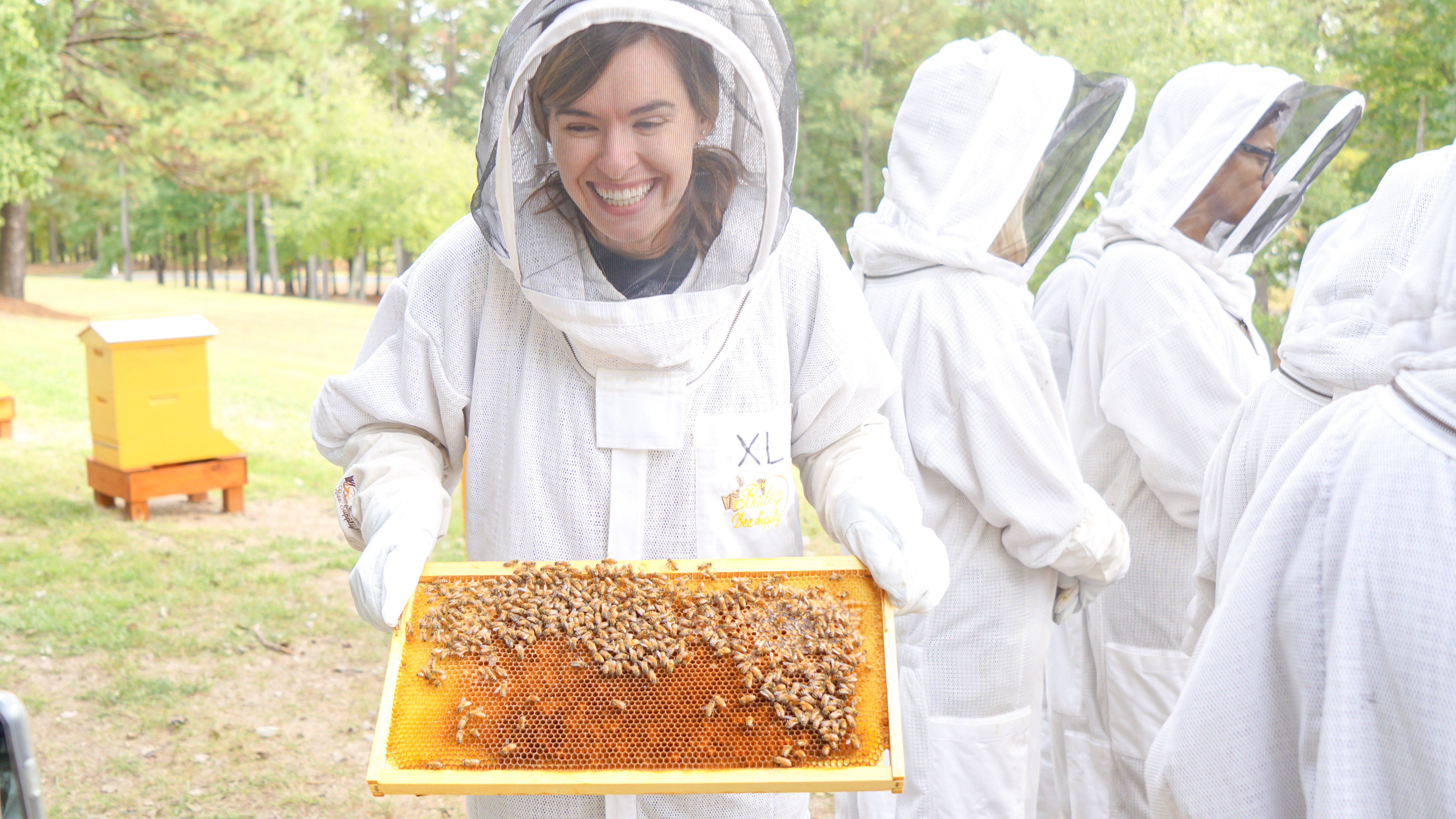 5 Reasons Why Saving the Bees Is So Critical for Both People and Planet
