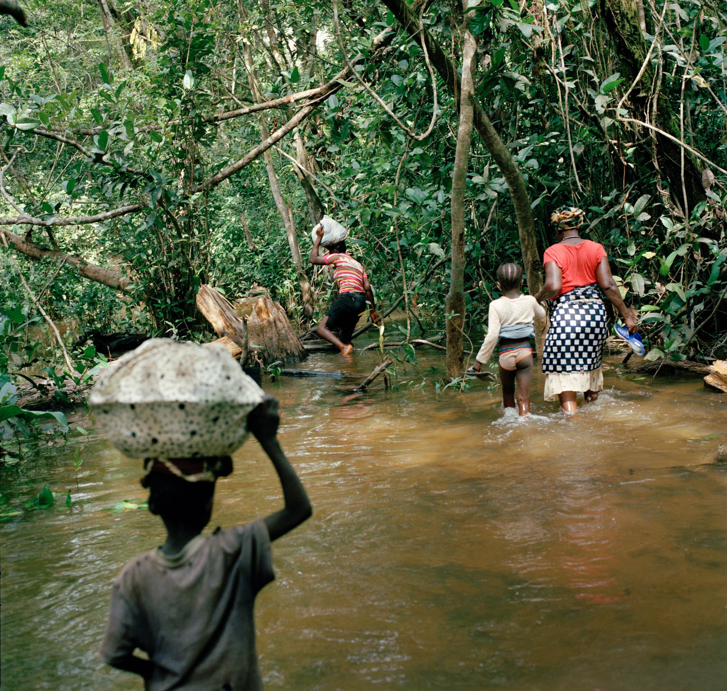 "Inequality makes environmental destruction possible, and environmental destruction exacerbates inequality."