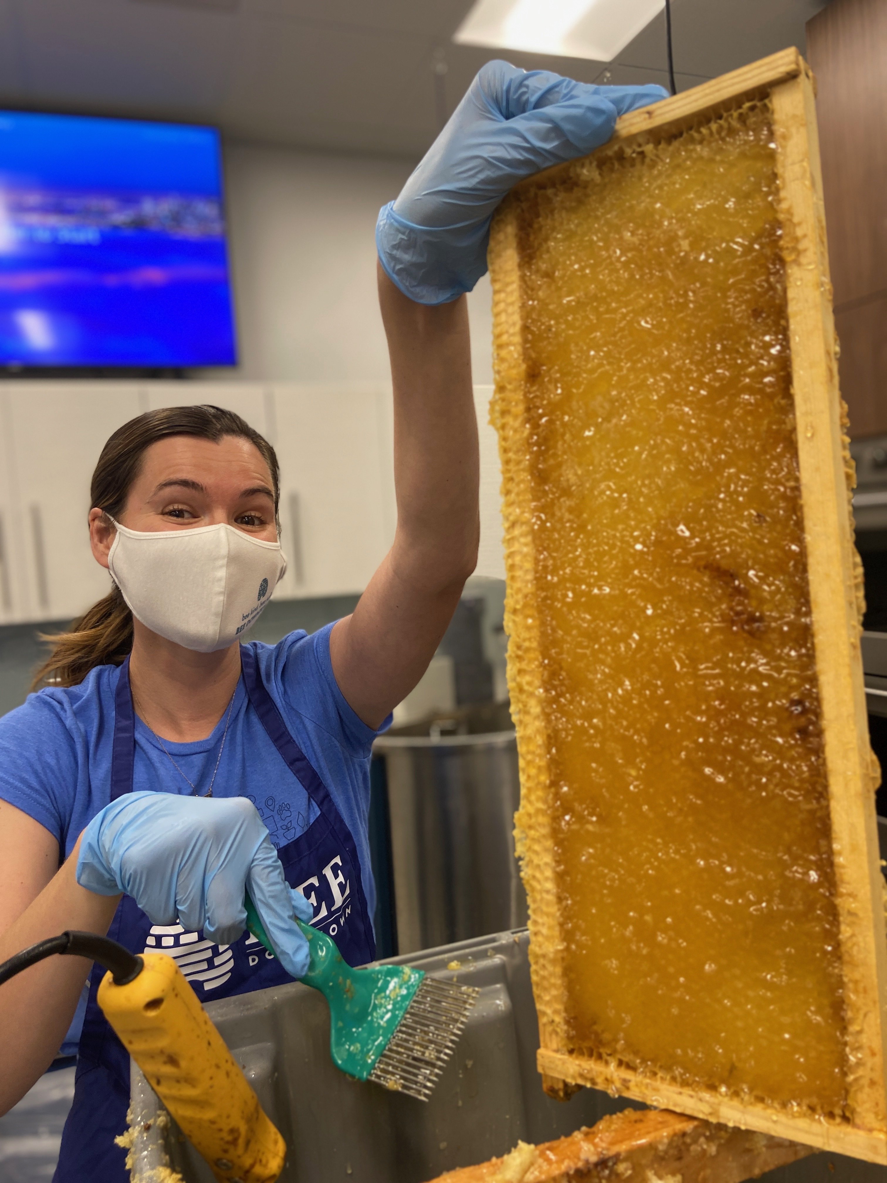 5 Reasons Why Saving the Bees Is So Critical for Both People and Planet