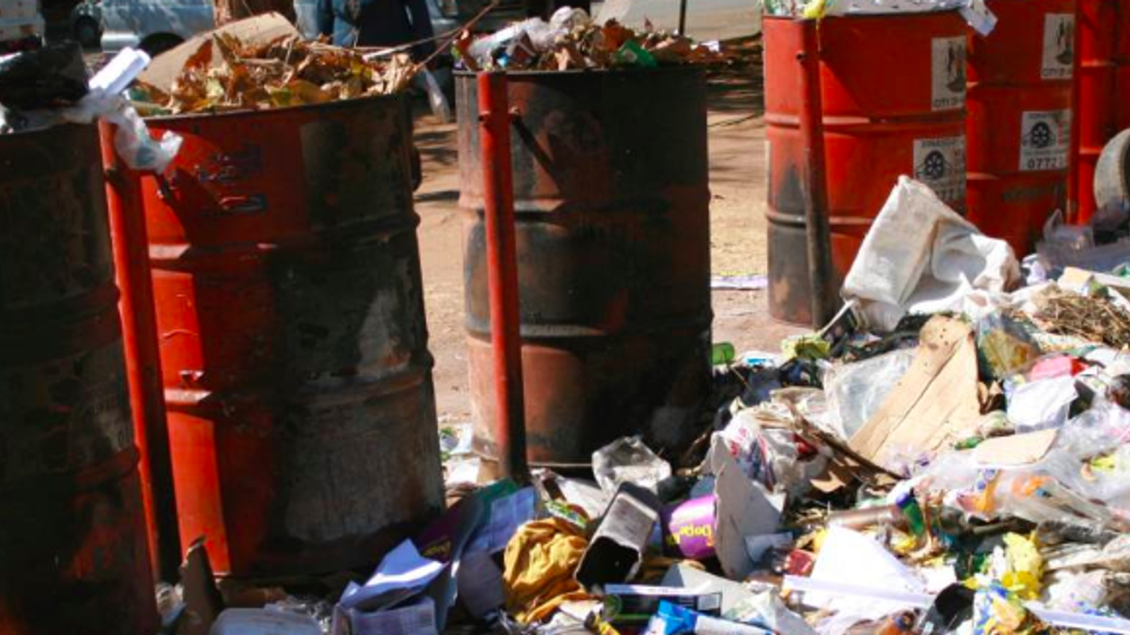 This App Is Helping to Clean Up Zimbabwe's Waste-Clogged Cities