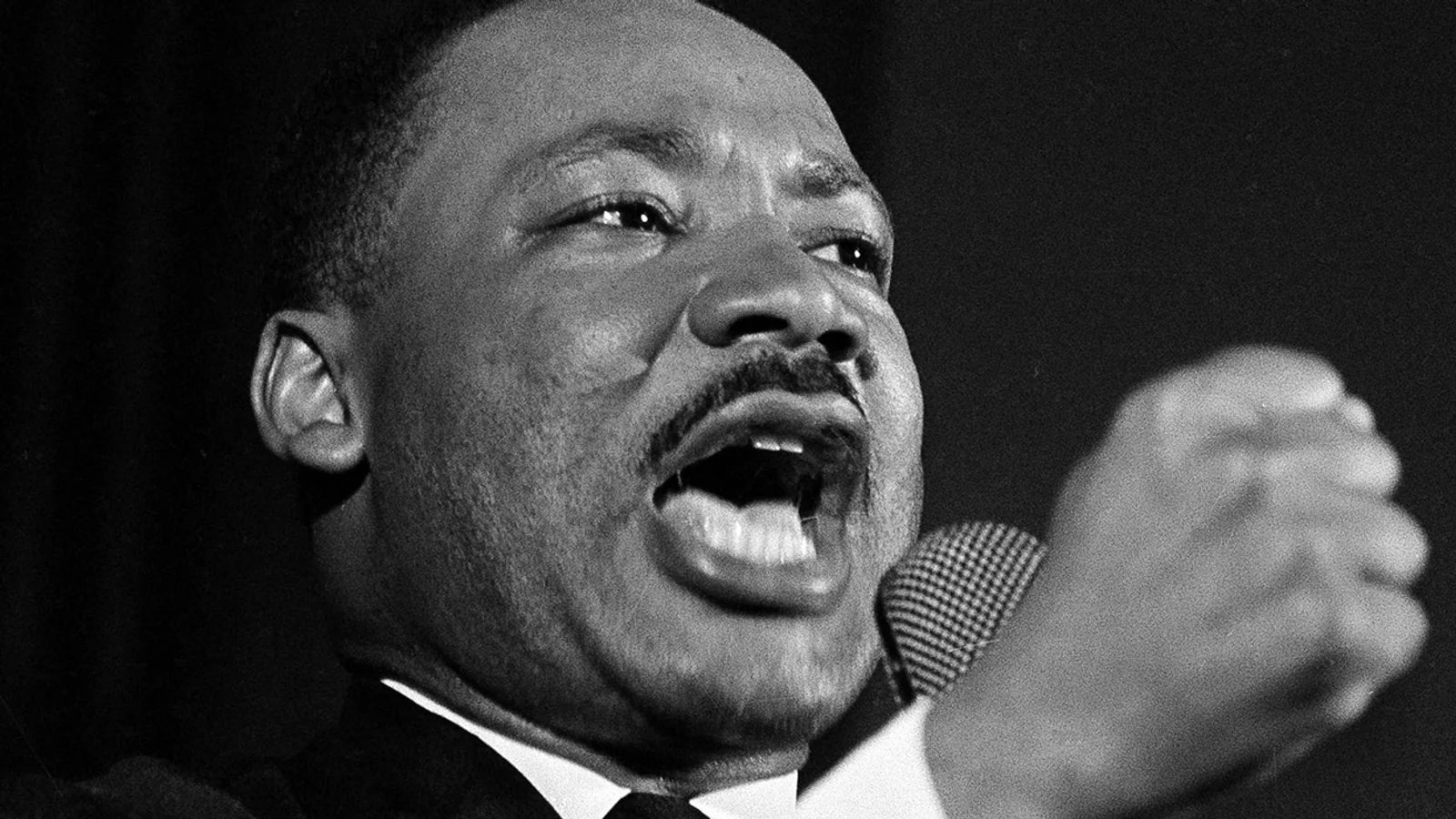 7 Anti-Rassismus-Aktivist*innen aus den USA, die du kennen solltest, image size:1600x900