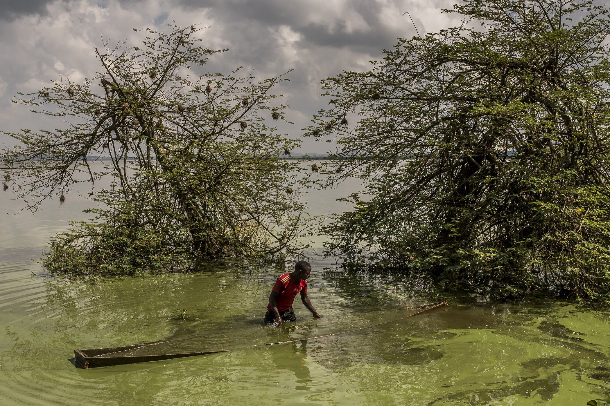 Lake Victoria Dying: A fisherman, who works illegally on Lake Victoria, refloats the boat that he keeps hidden all day before going fishing with a colleague, in Murchison Bay, Uganda. Nominated in the environment singles category.