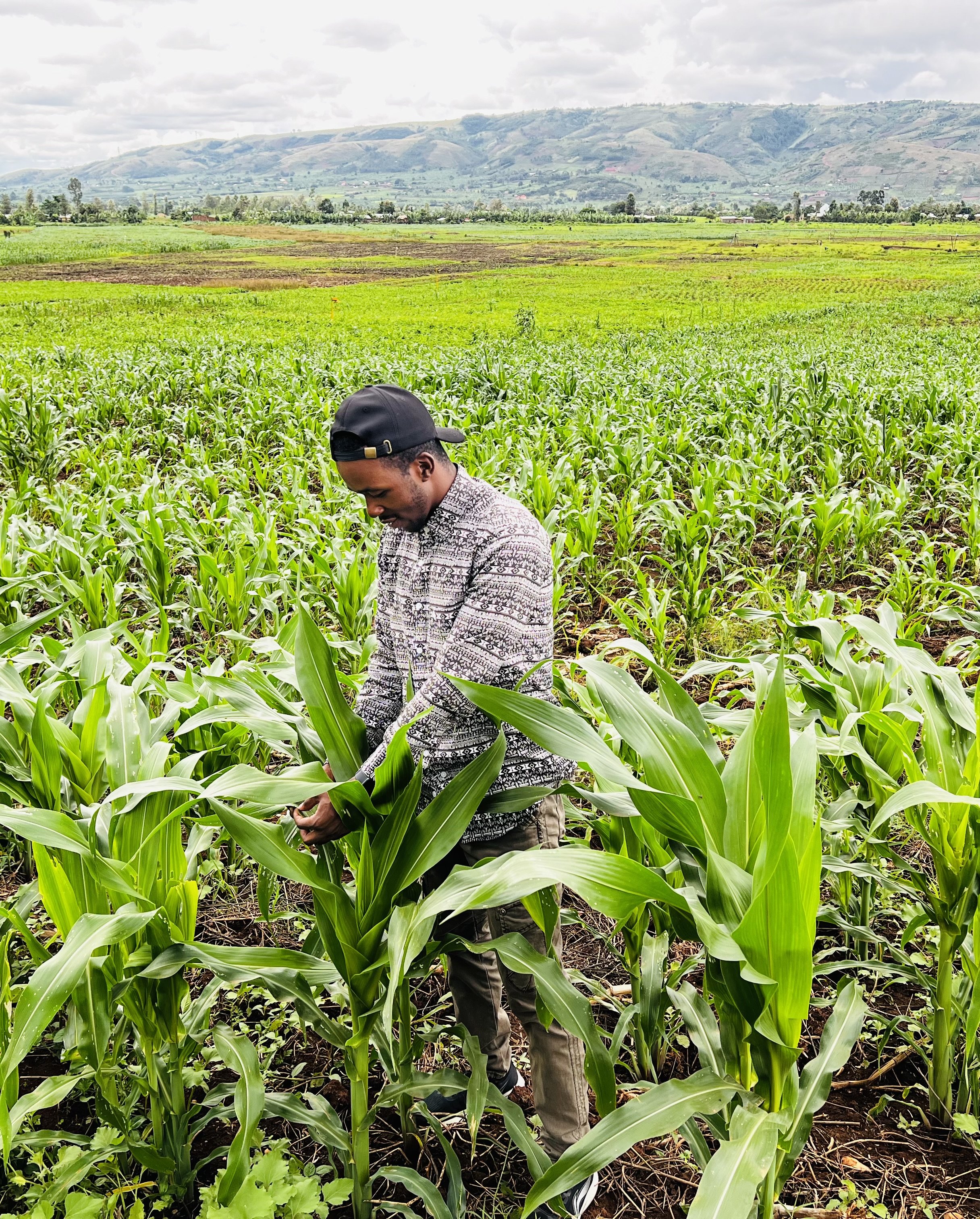 Rwandan Smallholder Farmers Are at Risk From Climate Change. This ...