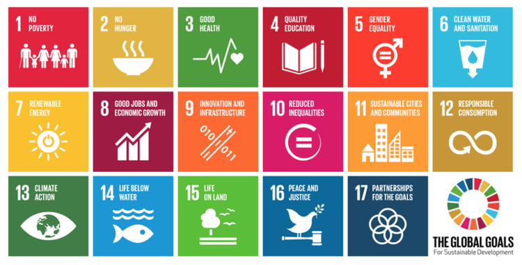 Sustainable Development Goal #4: Access to quality education for all