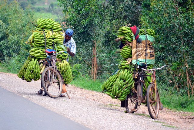 Even when the roads are well paved, transportation of produce can be a challenge..