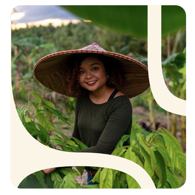 UN Environment Programme