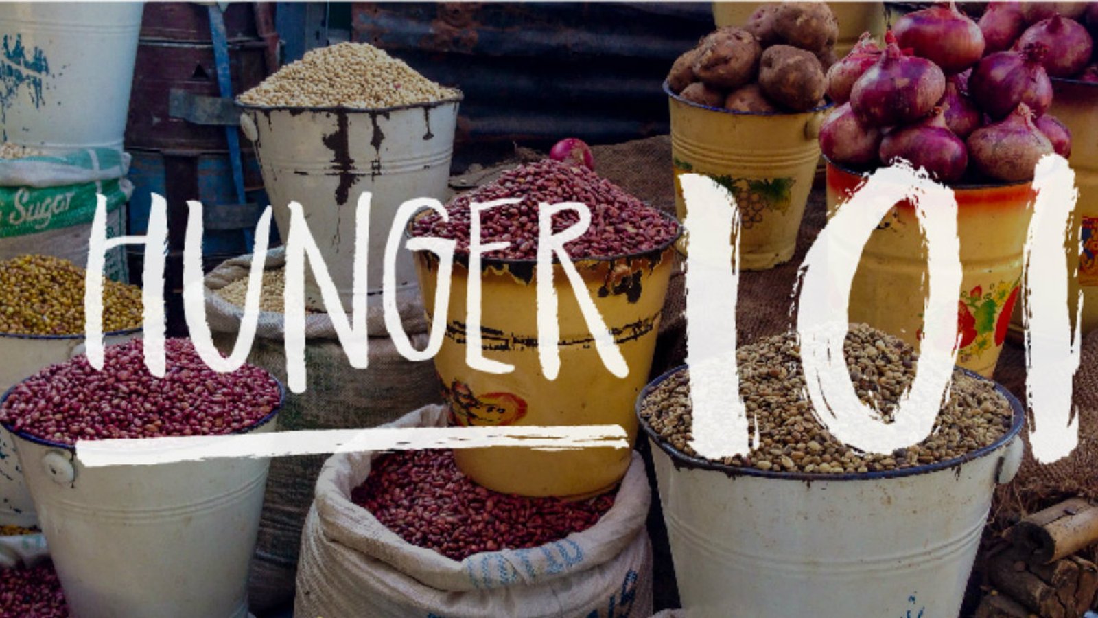 Hunger 101: The Low-Down on World Hunger