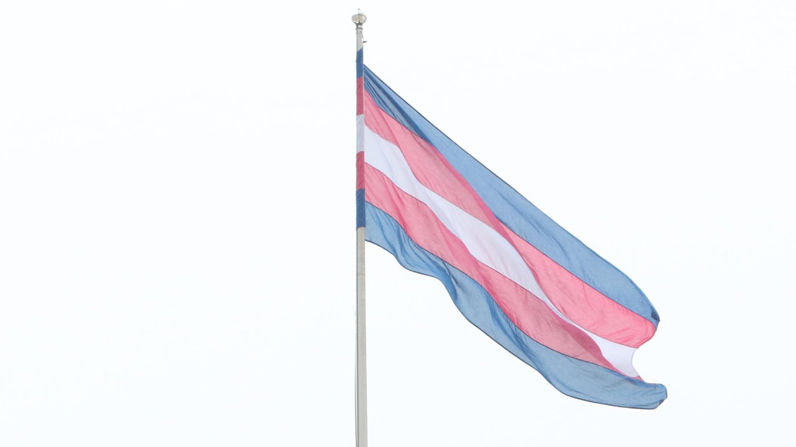 5 Ways Countries Can Promote Transgender Rights as Human Rights