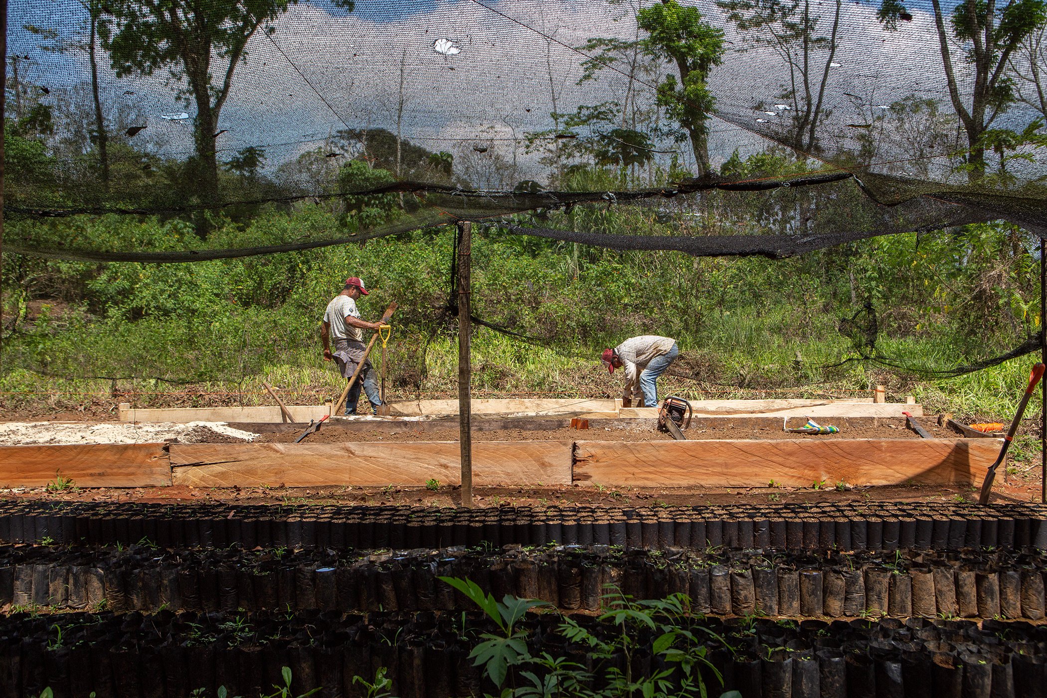 Daniel Lopez Gil (izquierda) y Vidal Casteñeda Villareal construyen camas de jardín para pequeños árboles de cacao y otras especies de plantas en la finca de cacao de Adan Gil Lopez en la región de Pichucalco, Chiapas, México el 23 de marzo de 2023.