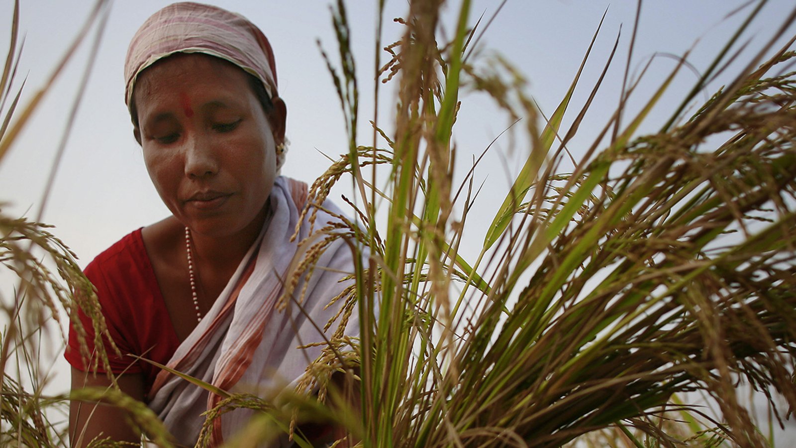 Understanding Why Climate Change Impacts Women More Than Men