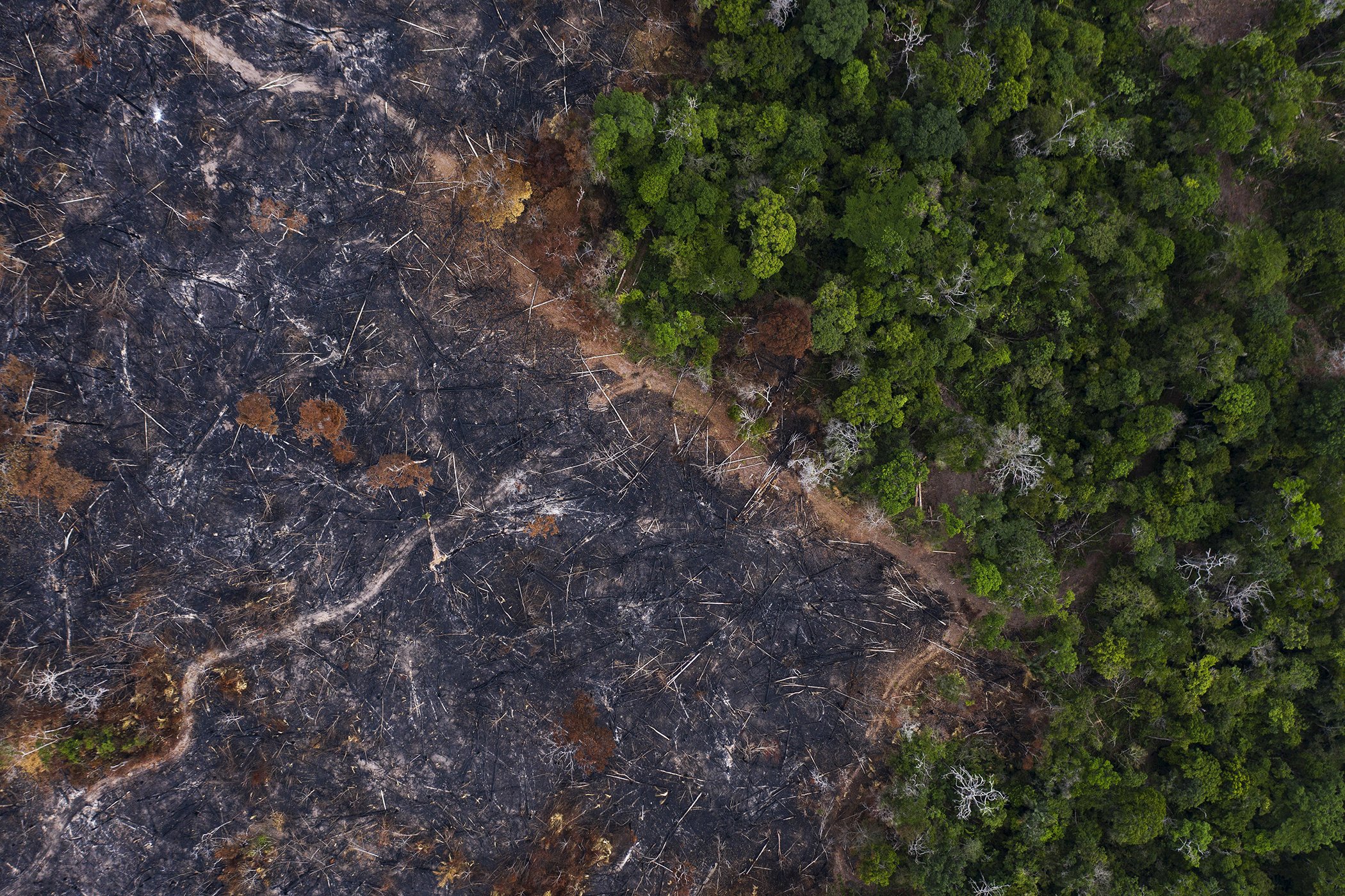 In this Nov. 23, 2019 photo, a burned area of the Amazon rainforest is seen in Prainha, Para state, Brazil. Official data show Amazon deforestation rose almost 30% in the 12 months through July, to its worst level in 11 years. Para state alone accounted f