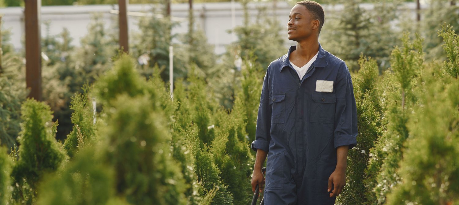 Green Jobs Now