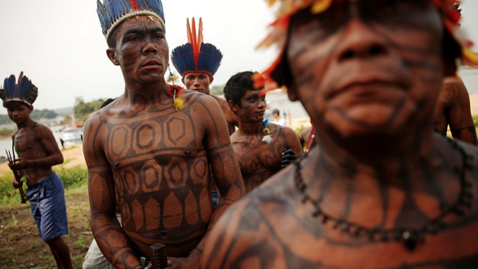 ブラジルのアマゾンの先住民族 アマゾンの先住民族 | 特定非営利活動法人 熱帯森林保護団体(RFJ)