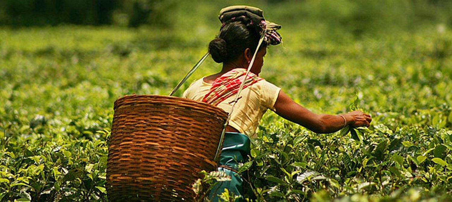 The 6 Worst Foods To Buy If You Care About Humanity