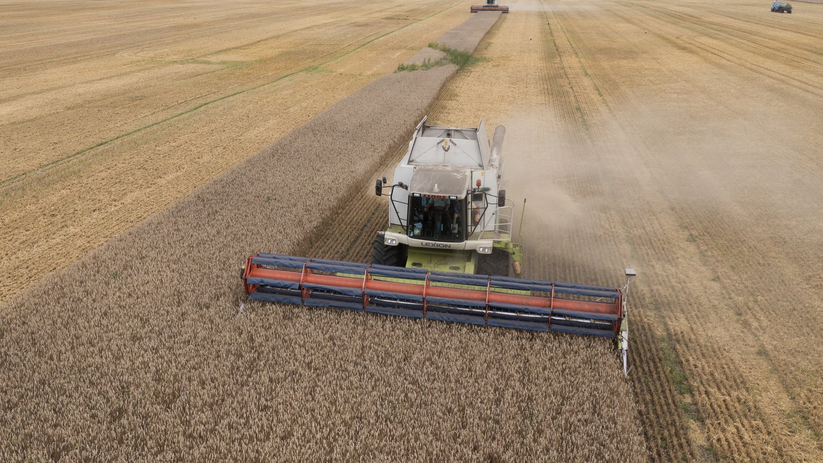 The Global Hunger Crisis: If the World Has Enough Food Why Are People ...