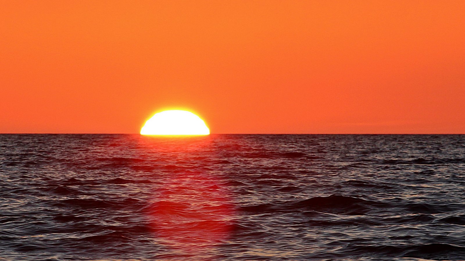 The Baltic Sea Now Has a 'Dead Zone' the Size of Ireland