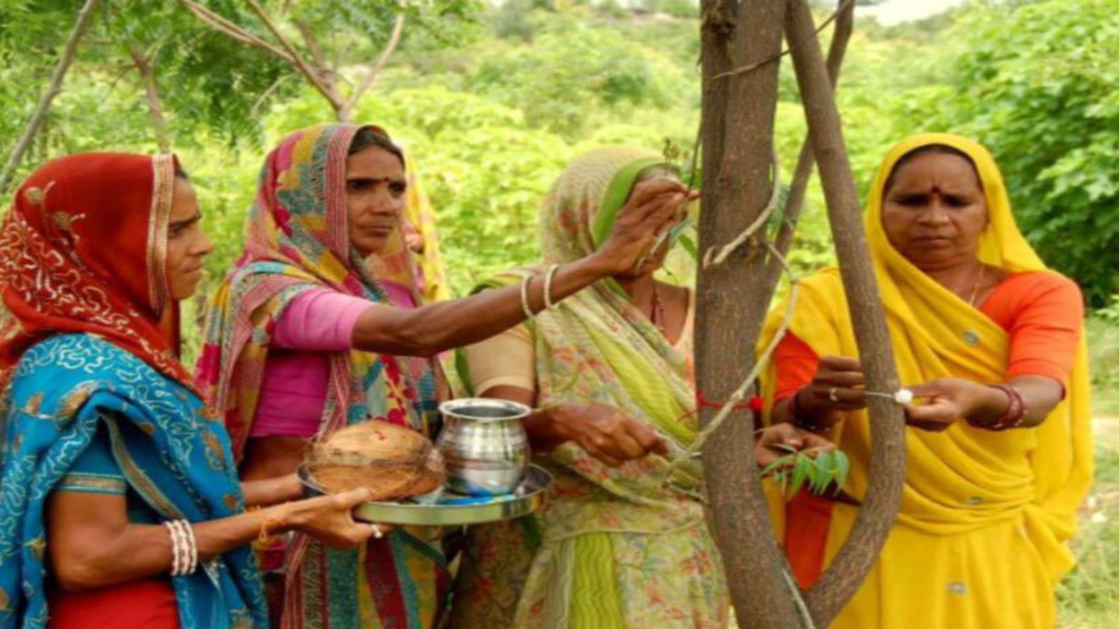 This Indian Village Plants 111 Trees Every Time a Girl Is Born