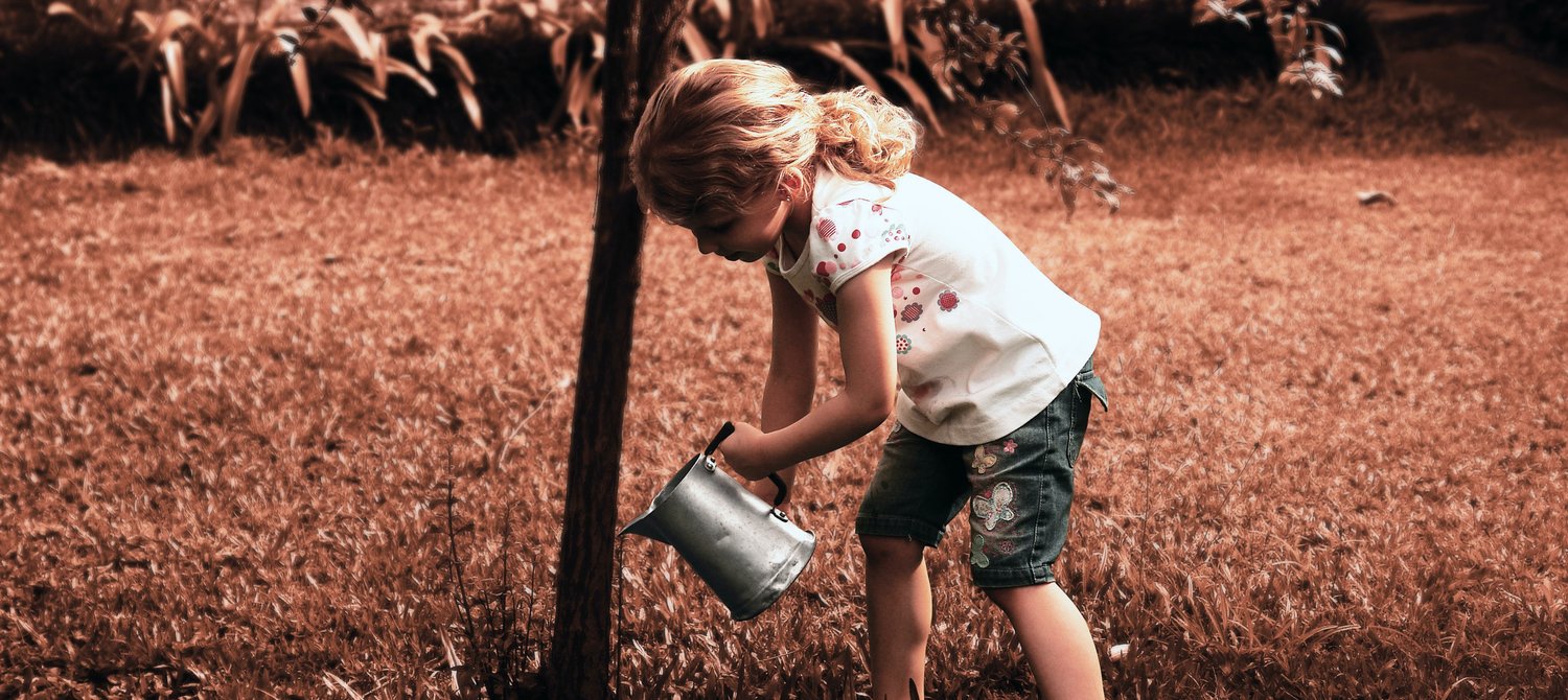 6 Simple Ways You Can Help Heal Nature